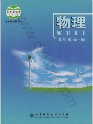 北师大版九年级物理全册